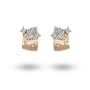 Top Star Huggies - K.S. Sze & Sons