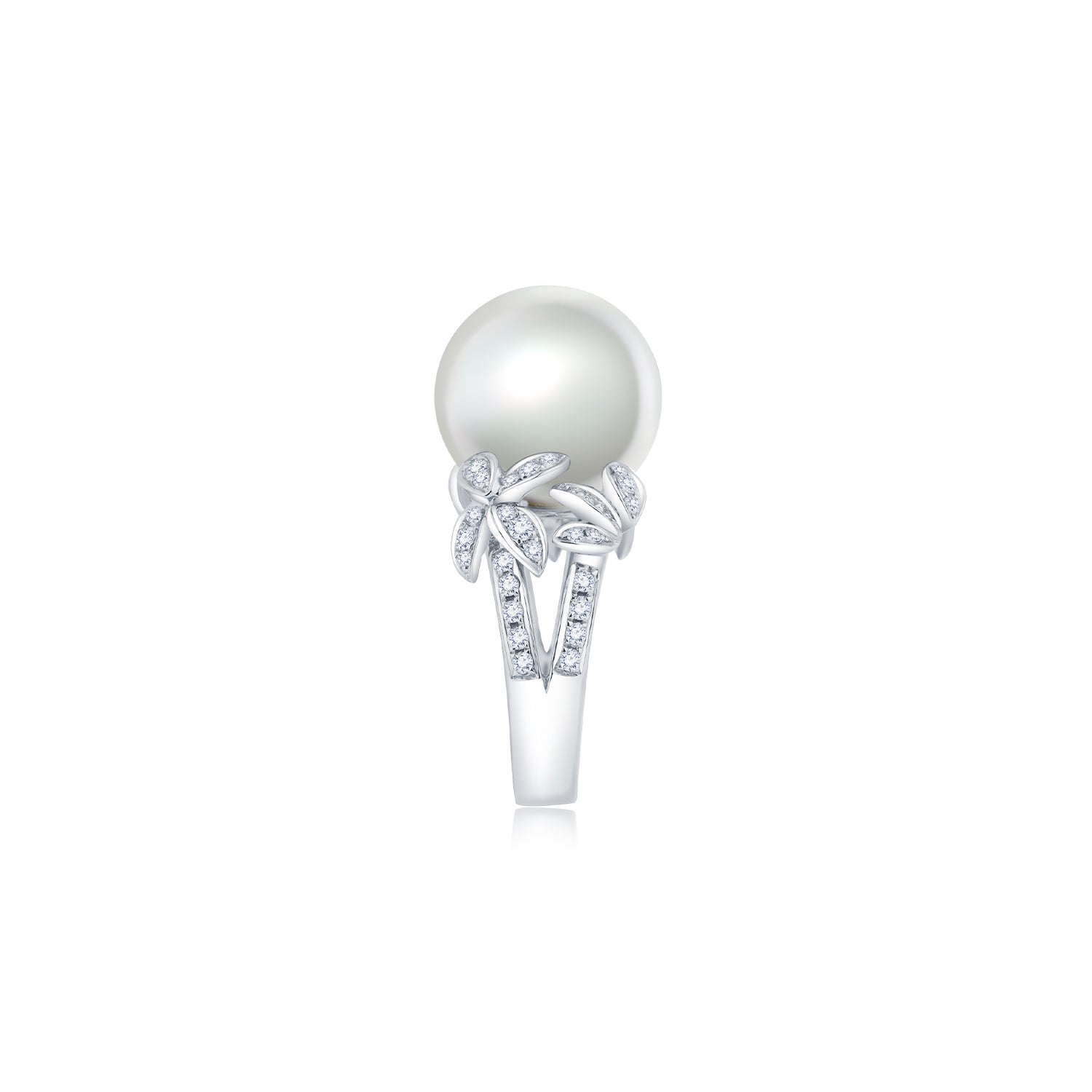 White South Sea Pearl & Diamond Ring