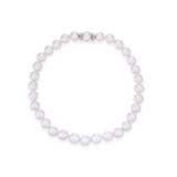 Gala White South Sea Pearl Necklace