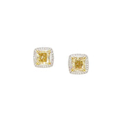 Cushion Shaped Fancy Yellow Diamond Earrings (GIA Certificate) - K.S. Sze & Sons