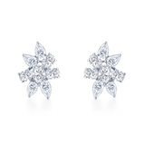 Fancy Shape Diamond Earrings