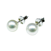 White South Sea Pearl Earrings - K.S. Sze & Sons