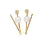 The "V" Earrings