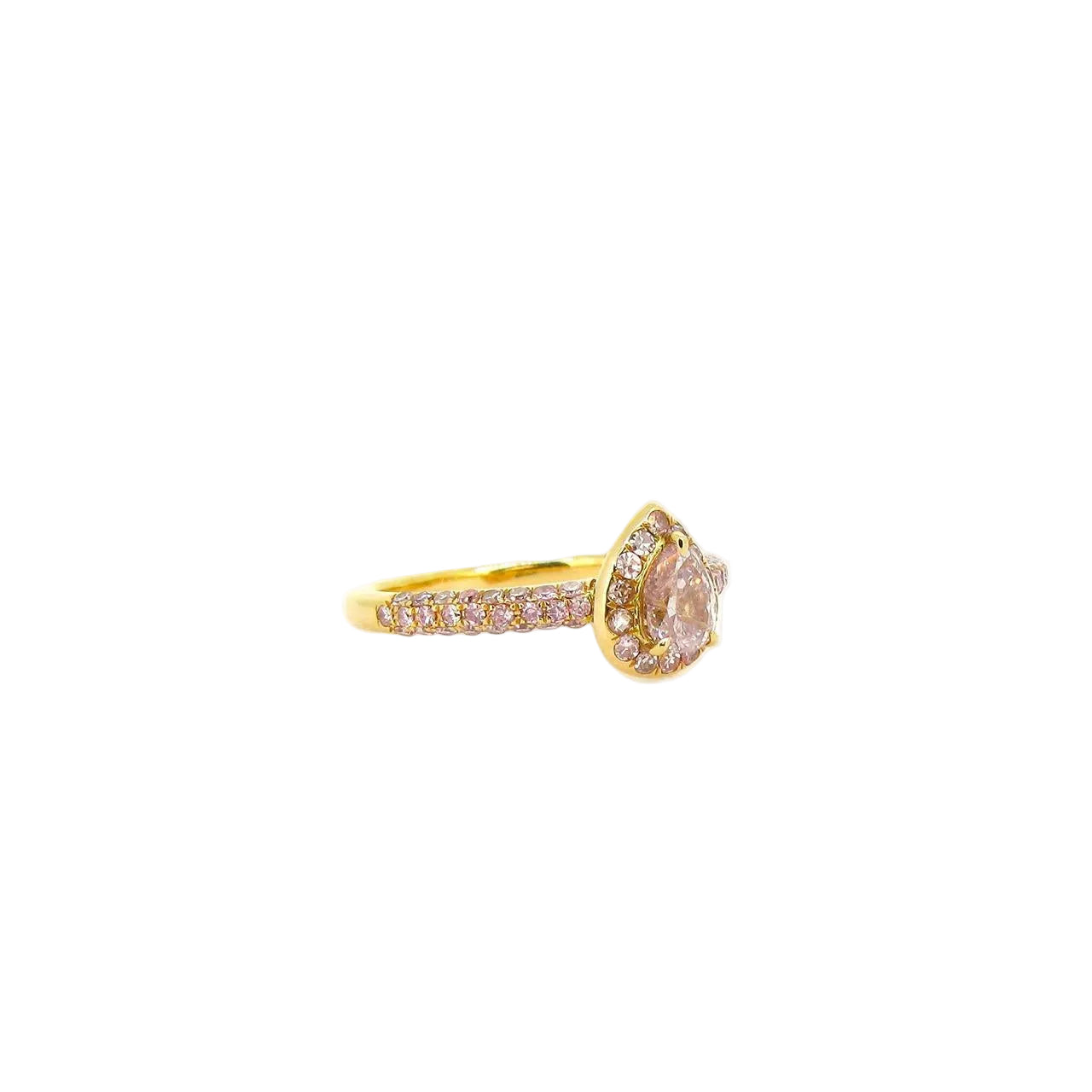 stock__R2055__image_6brndgiqm.jpg